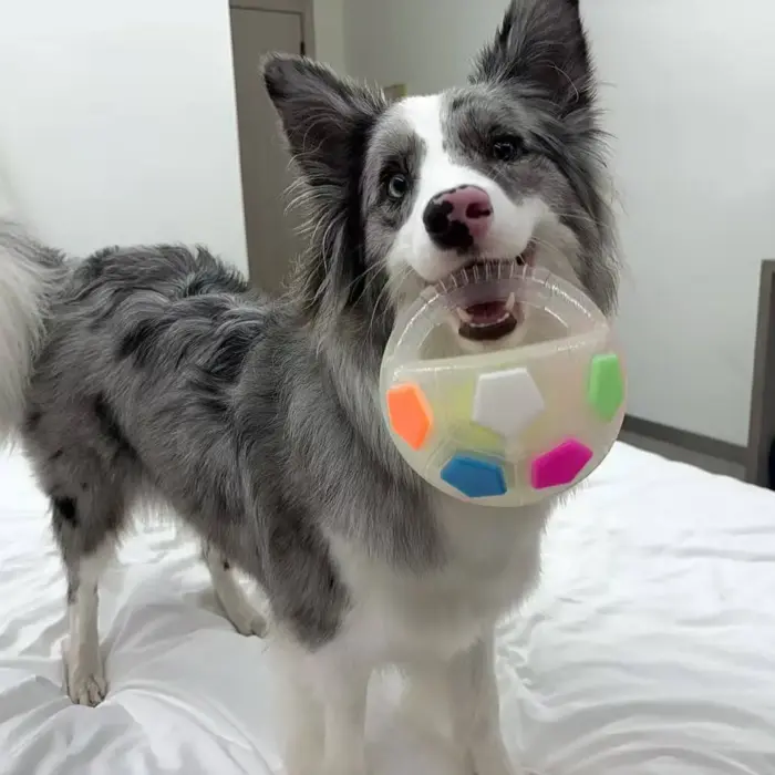 PawKick™ Durable Soccer Toy – Bouncy. Bite-Resistant & Fun  Buy one get one free, double the fun