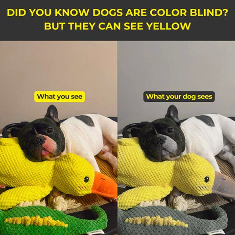 Calming Duck Toy by Wowpetsmart®-🔥 Halloween Special Buy one get one free